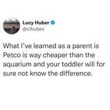 497164724 18277017484261452 2794953047546140295 n