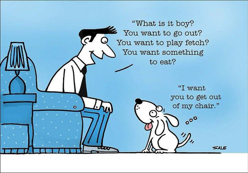 My Chair funny dog cartoons greeting cards mugs tee shirts mouse pads pets animals