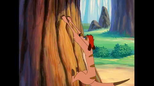 Timon.and.Pumbaa.S01E01.1080p.DSNP.WEB DL.AAC2.0.H.264.DUAL BiOMA 004.png