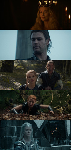 InCollage 20250513 234312641.jpg