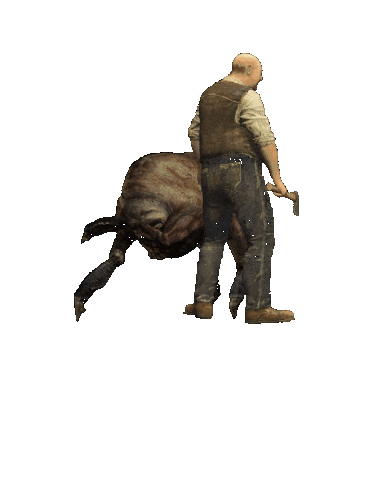 Сидор нападает.gif