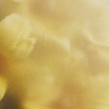 Chaotic Gradients 71