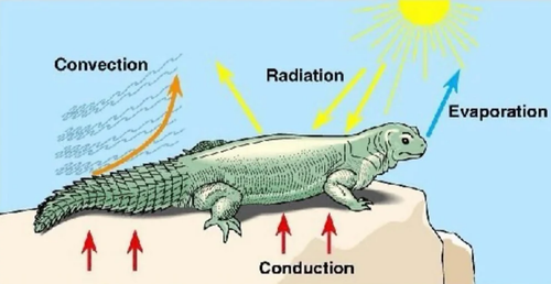image.2