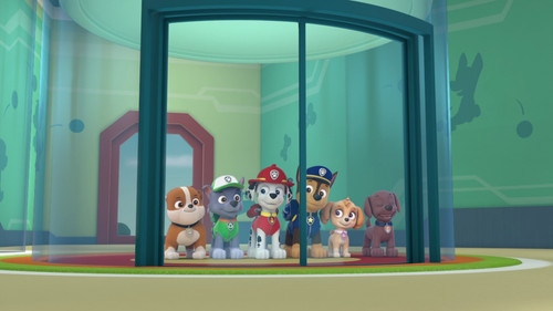 Tlapkova.Patrola.S03E01.Tlapky.vypouští.džina Tlapky.zachraňují.provazochodce.1080p.SKST.WEB DL.CZ.D.jpg