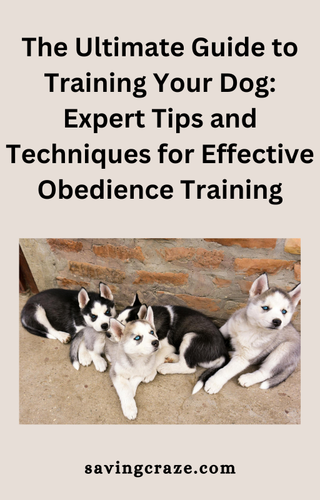 eCover The Ultimate Guide to Training Your Dog Expert Tips and Techniques for Effective Obedience Tr.png