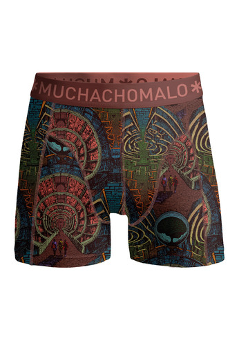 MAZELIFE1010 04 02.jpg