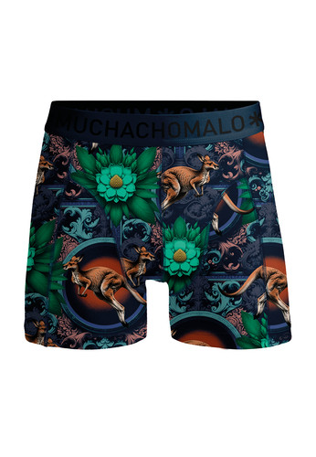 KANGAROO1010 01 1.jpg