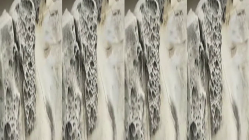 vlcsnap 2025 03 26 17h12m26s650.png