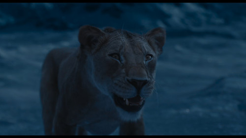 photo 1 2025 03 26 11 31 18.jpg