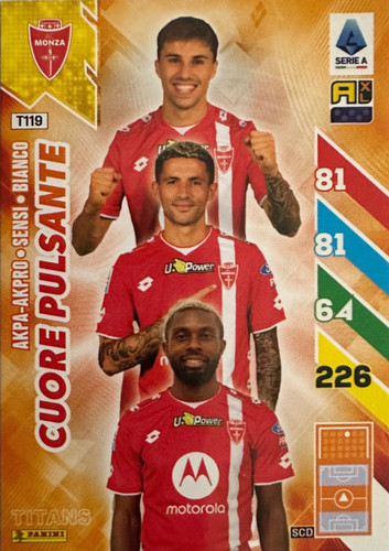 119.jpg