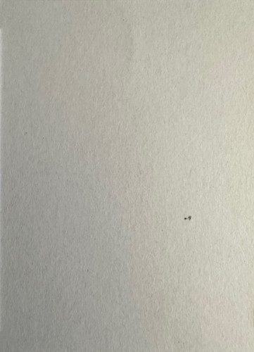 116.jpg
