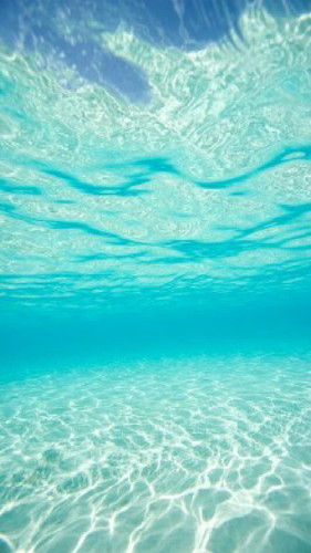 ocean.jpg