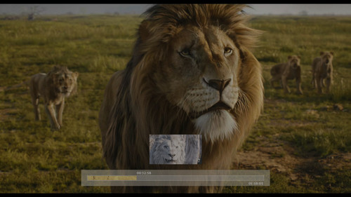 photo 2 2025 03 26 11 31 18.jpg