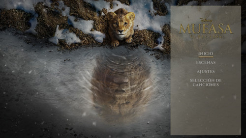 photo 4 2025 03 26 11 31 18.jpg