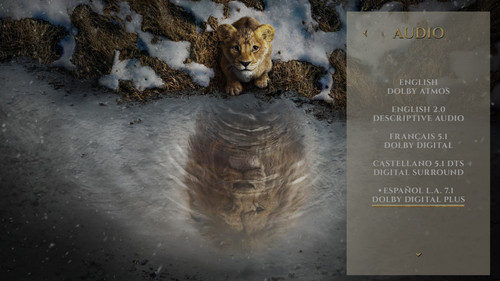 photo 5 2025 03 26 11 31 18.jpg