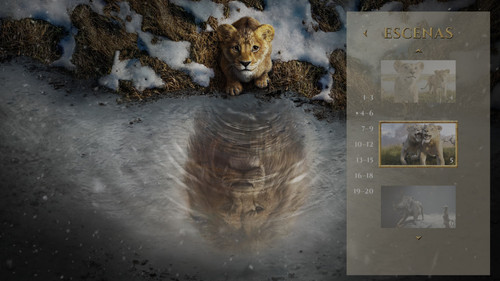 photo 3 2025 03 26 11 31 18.jpg