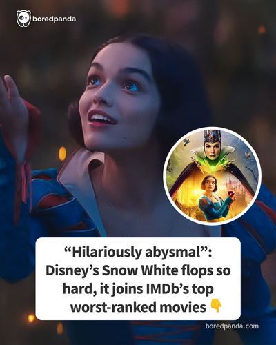 FB img 3 (3).png