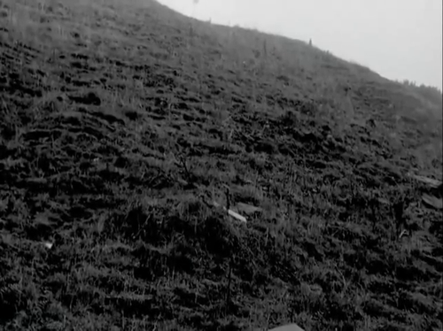 vlcsnap 2025 03 26 12h09m23s231.png