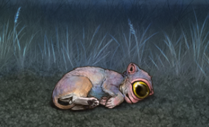 IMG 2521.png