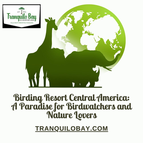 birding resort central america.jpg