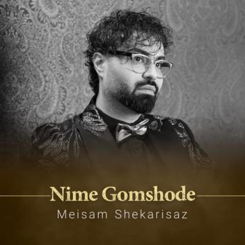 دانلود آهنگ میثم شکری ساز به نام نیمه گمشده