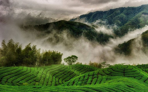 Escape to the scenic hills of Ooty with our exclusive Ooty Tour Packages! Experience lush tea gardens, breathtaking landscapes, and serene lakes on a perfect getaway. Whether it’s a romantic trip, a family vacation, or an adventure-filled holiday, we have the best deals for you. Book your dream trip with Raya Tourism today and explore the beauty of Ooty like never before!

Visit:- https://rayatourism.com/domestic-tour/Ooty-Tour-Package