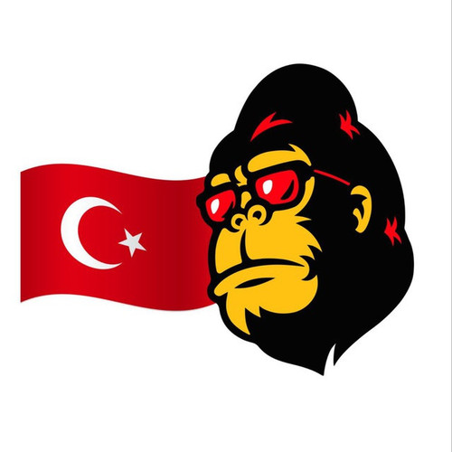 4918399198383156568 1.jpg