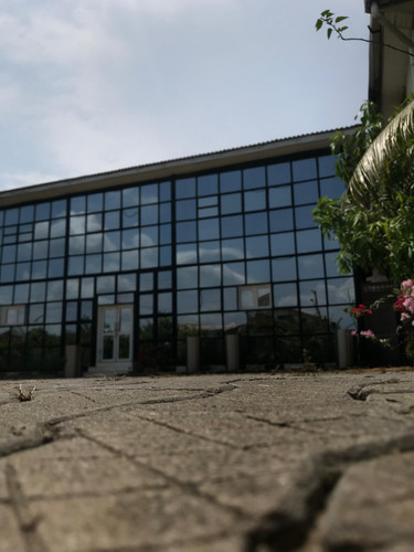 IMG 20250314 WA0105.jpg