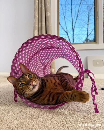 487013949 647852564670826 2274741892864652124 n.jpg