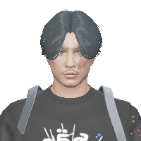 a91d5ced573c.png