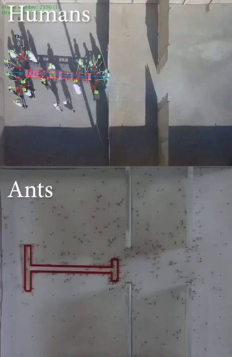 RdCaFaI5QVOYrwlT.jpg