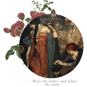 Rosa Ode Amori 1 removebg preview (3).png
