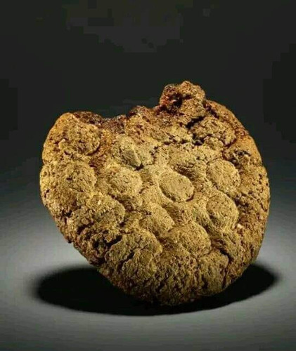 Gm3Dz8CaQAAHbUU.jpg