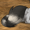 Untitled2244.png