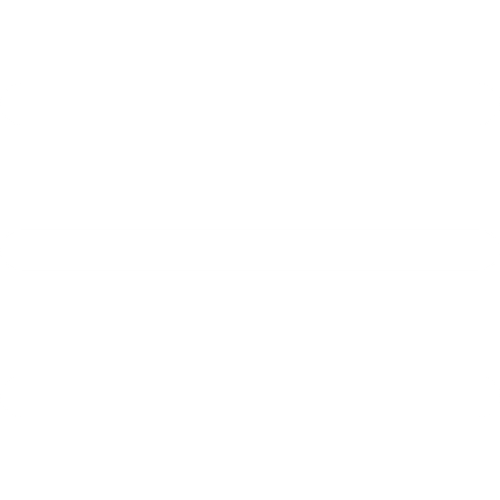 menu burger (2).png