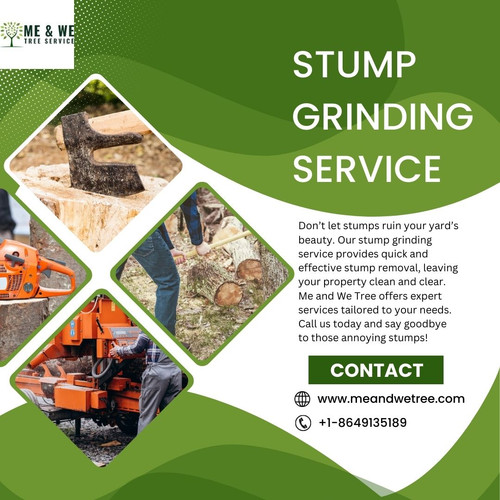 Expert Stump Grinding Service Remove Unwanted Stumps Today.jpg