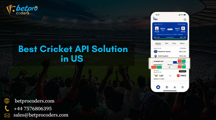 Best Cricket API Solution in US.png