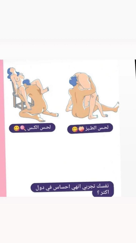 IMG 0230.png