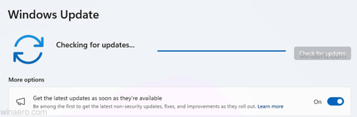 Windows 11 check for updates banner.png