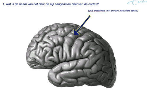 20d92accf1ef.png