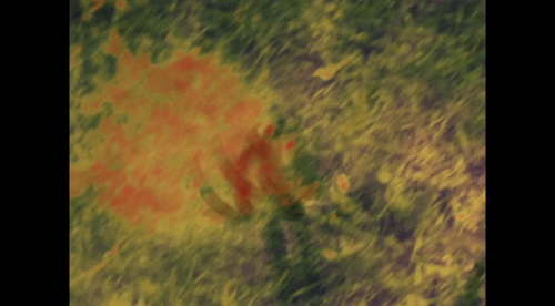 vlcsnap 2025 03 26 18h16m32s953.png