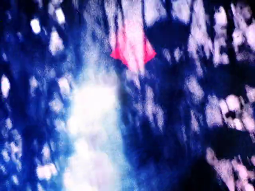vlcsnap 2025 03 26 17h54m44s485.png