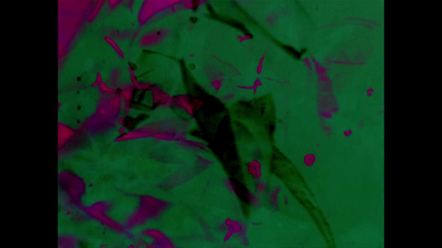 vlcsnap 2025 03 26 20h57m58s586.png