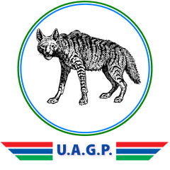 1000025036.png