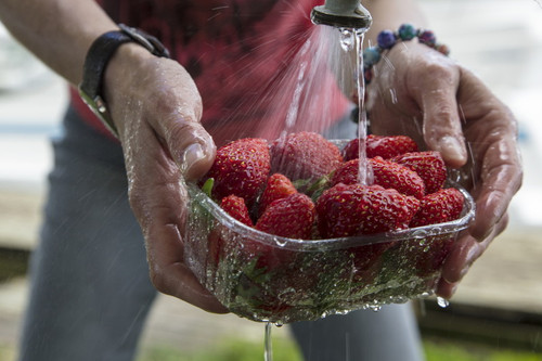 lavare frutta e verdura bene prima di mangiarla 2.jpg