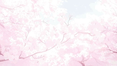 3891e81ca18e3c2237b1b6dd1c9250c5.gif