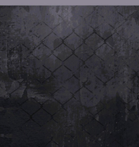 spin bg.jpg