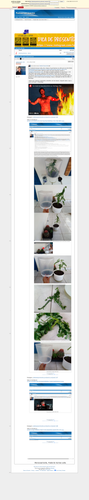 9666abddaaae57bcbe372544e7ba7a0f17cb8c03.png