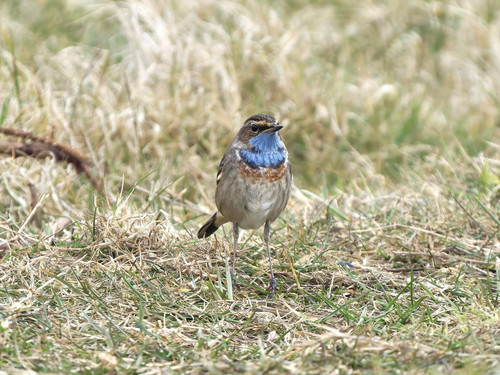 Gm556xvWUAAw eN.jpg