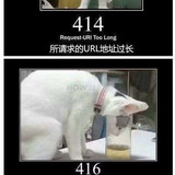 报错情况.jpg
